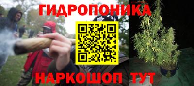 apvp Бузулук